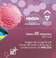 Il miele e la corretta lettura delle etichette per combattere le frodi