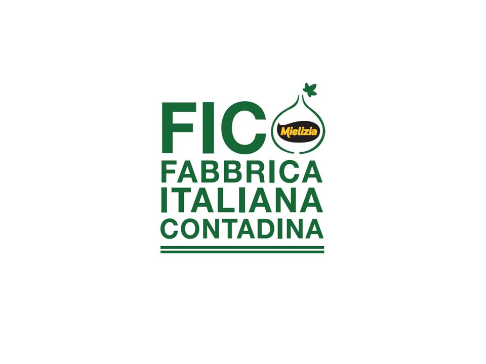 Logo verde Mielizia su sfondo bianco con foglie stilizzate