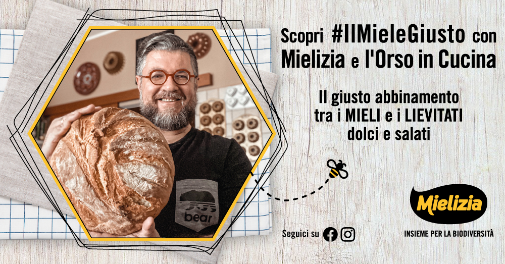 Orso in cucina con ricette di lievitati al miele