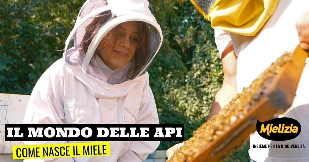 Chef Sonia Peronaci esplora il mondo del miele in articolo di news Mielizia