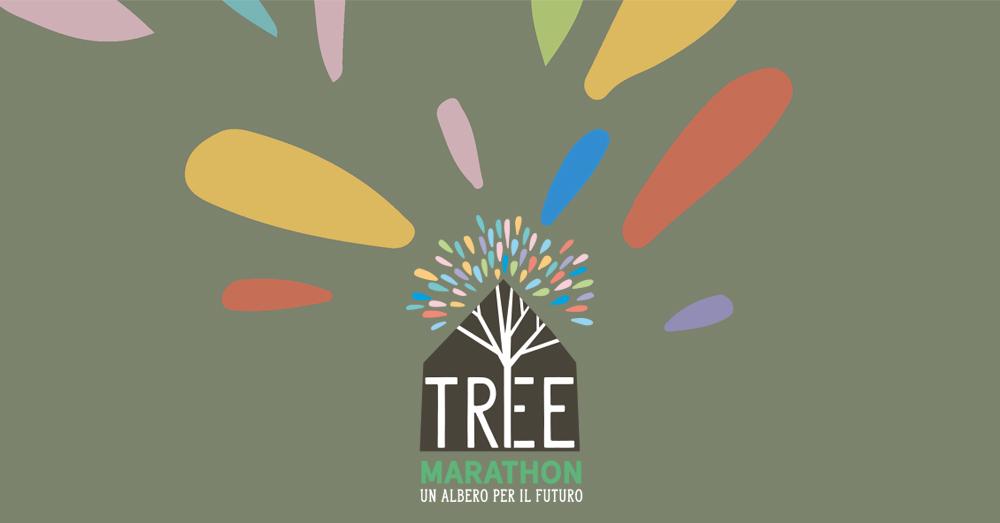 Albero con foglie autunnali lungo percorso maratona a Bologna