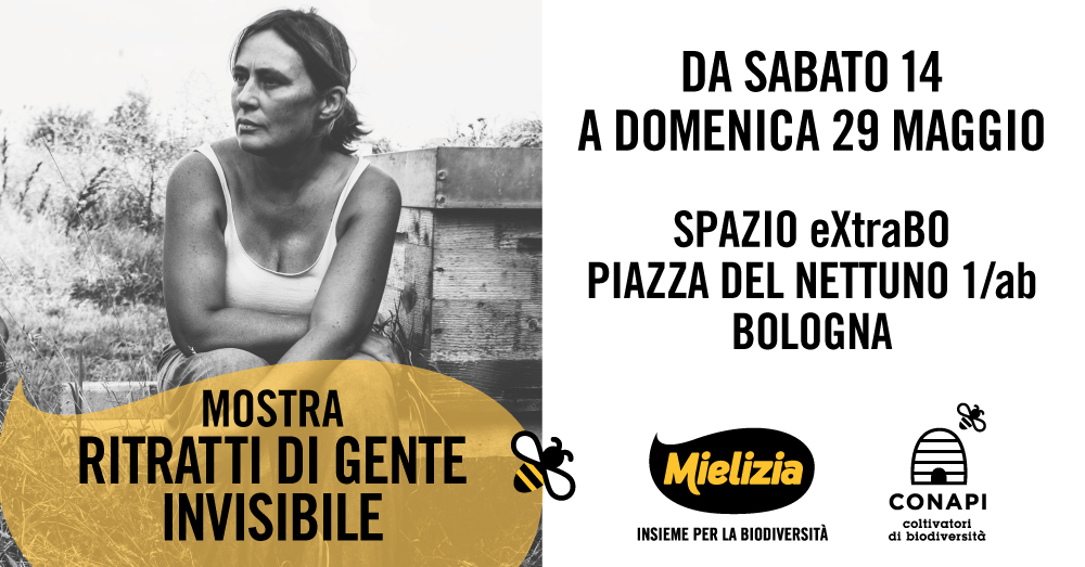 “Ritratti di gente invisibile” - La mostra immersiva di Mielizia sul mondo dell’apicoltura, a Bologna dal 14 al 29 maggio