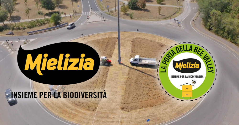 Rotatoria Ca' de Mandorli - Mielizia News