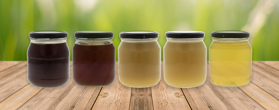 Confronto visivo delle differenze nutrizionali tra miele di acacia, millefiori e altri tipi
