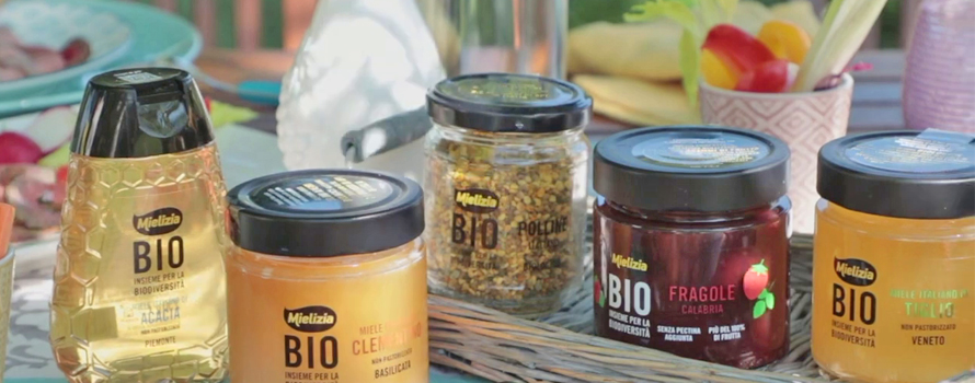 Insalata estiva con miele Mielizia, ingredienti freschi e colorati su un piatto
