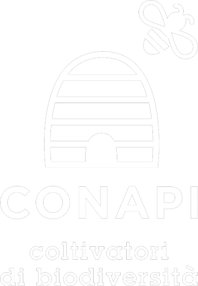 Logo dell'associazione CONAPI con un'arnia stilizzata in giallo e nero