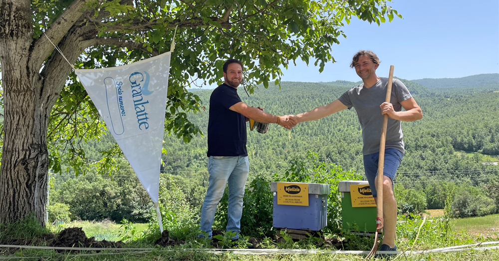 Immagine della collaborazione tra Mielizia e Granarolo per la salute delle api e la sostenibilità.