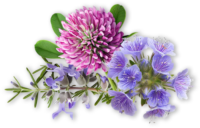 Vaso di miele di millefiori Mielizia con fiore sulla confezione