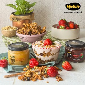 mielizia ricetta - Granola con miele di clementino e crema allo yogurt con composta di fragole