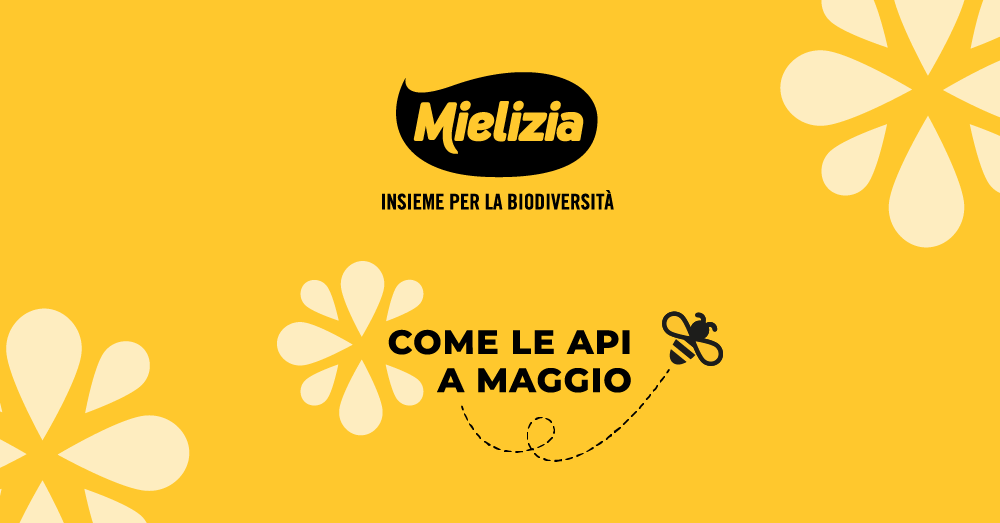 Immagine promozionale degli eventi con Mielizia a Maggio