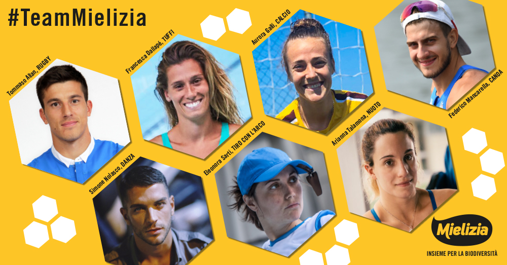 news - team mielizia 2021