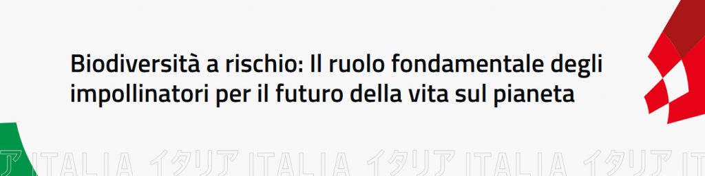 Miele italiano a Expo Osaka: Giappone vale il 30% dell’export di CONAPI-Mielizia
