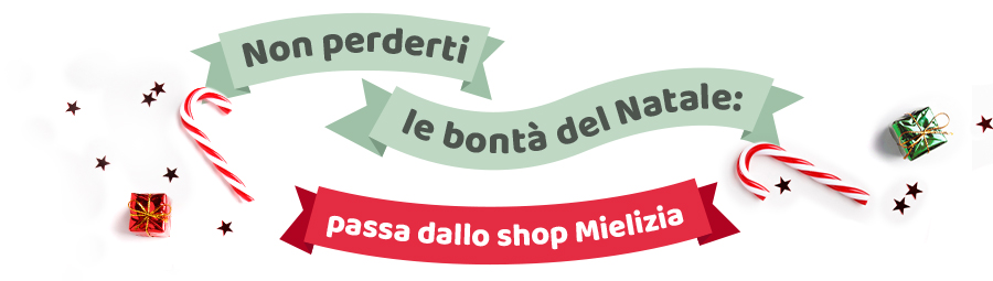 Non perderti le bontà di Natale: passa dallo shop Mielizia!